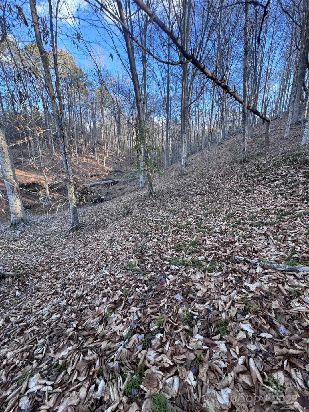 0 Creekside Circle #126 - Photo 2