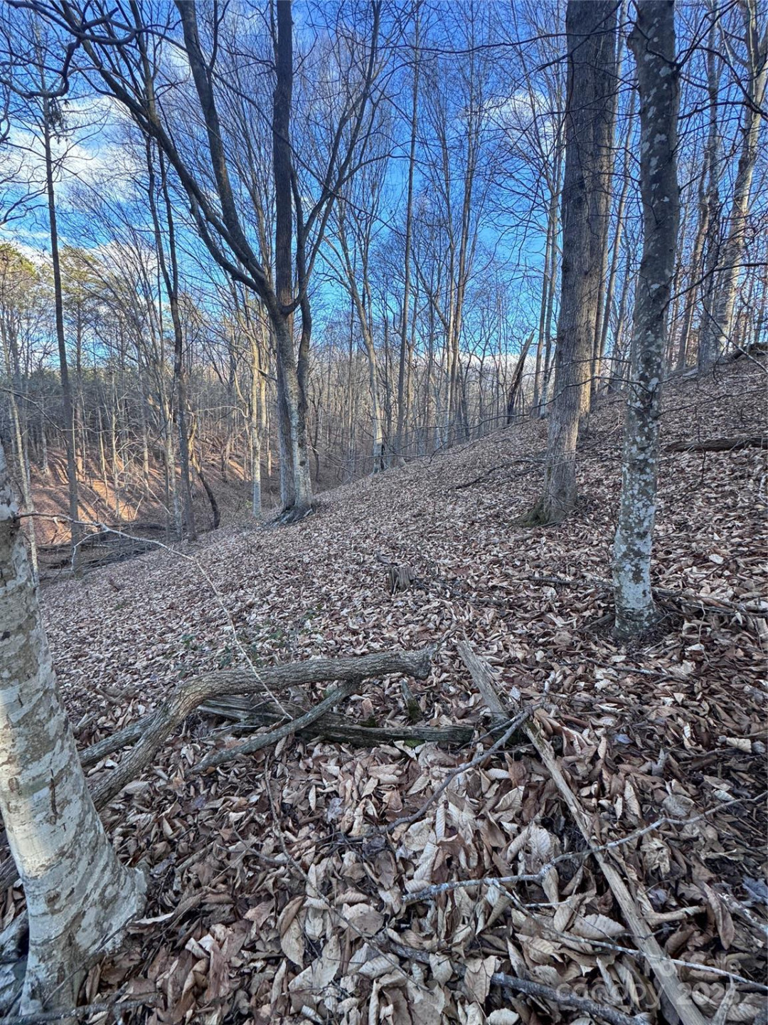 0 Creekside Circle #126 - Photo 11