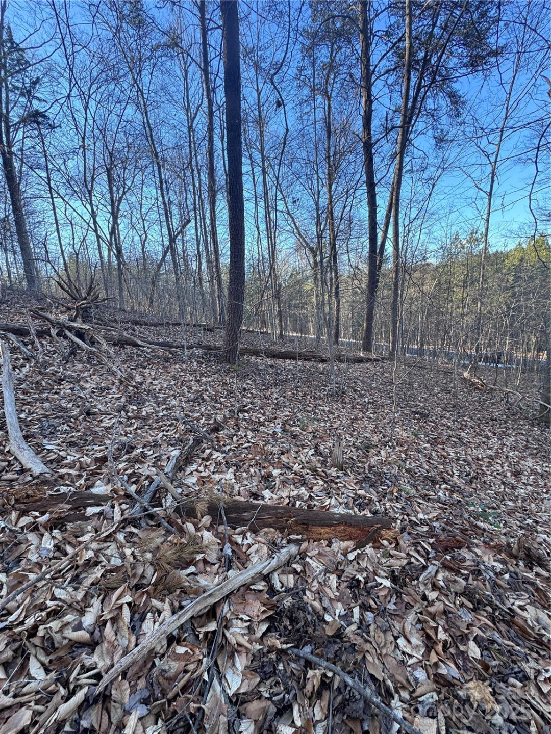 0 Creekside Circle #126 - Photo 3