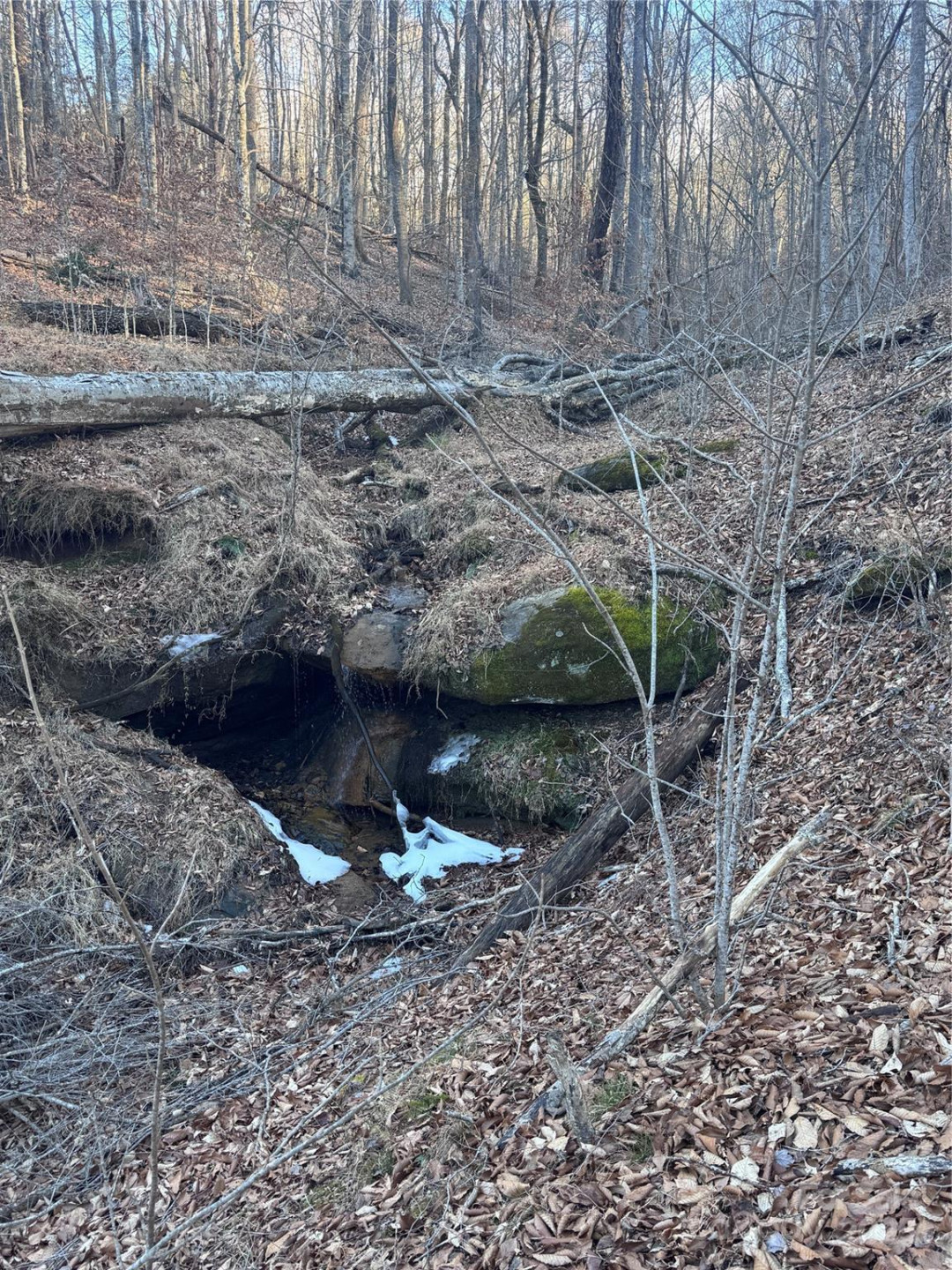 0 Creekside Circle #126 - Photo 4