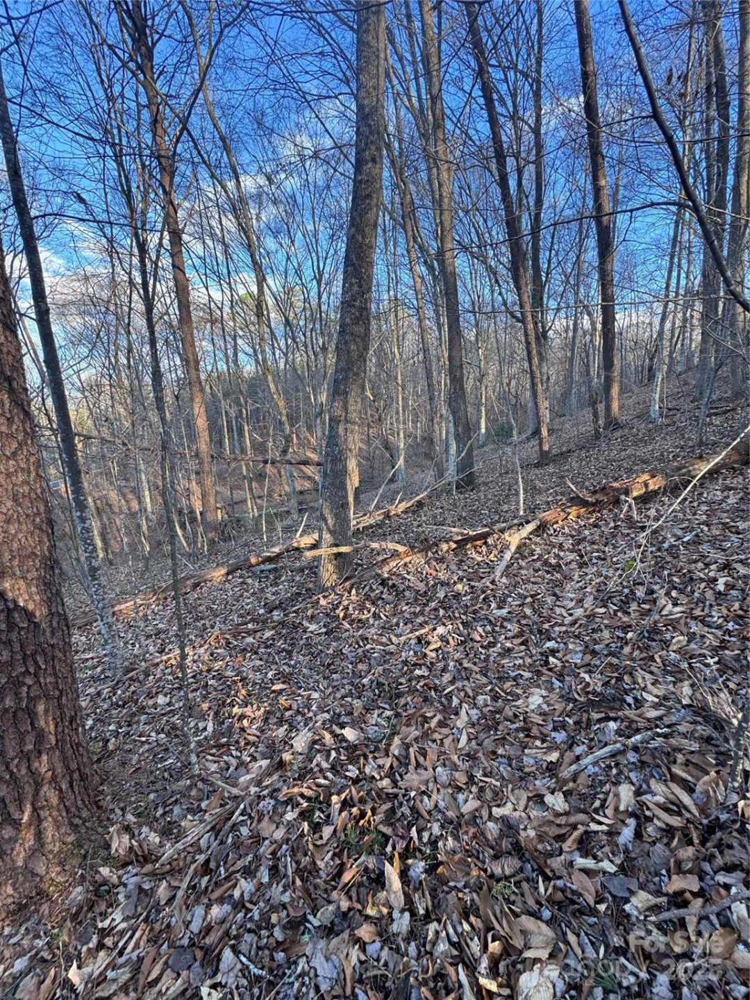 0 Creekside Circle #126 - Photo 5