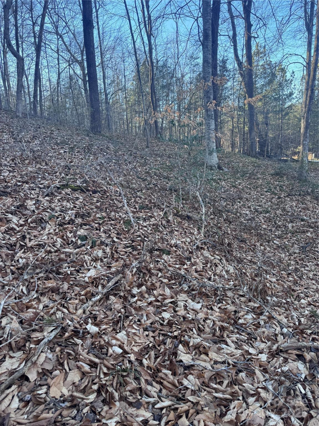 0 Creekside Circle #126 - Photo 6