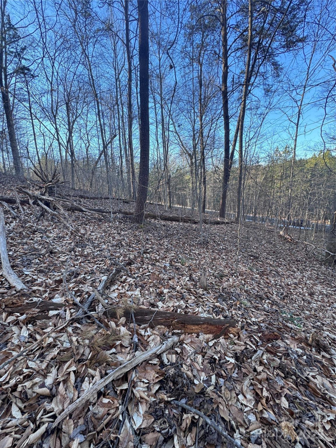 0 Creekside Circle #126 - Photo 7