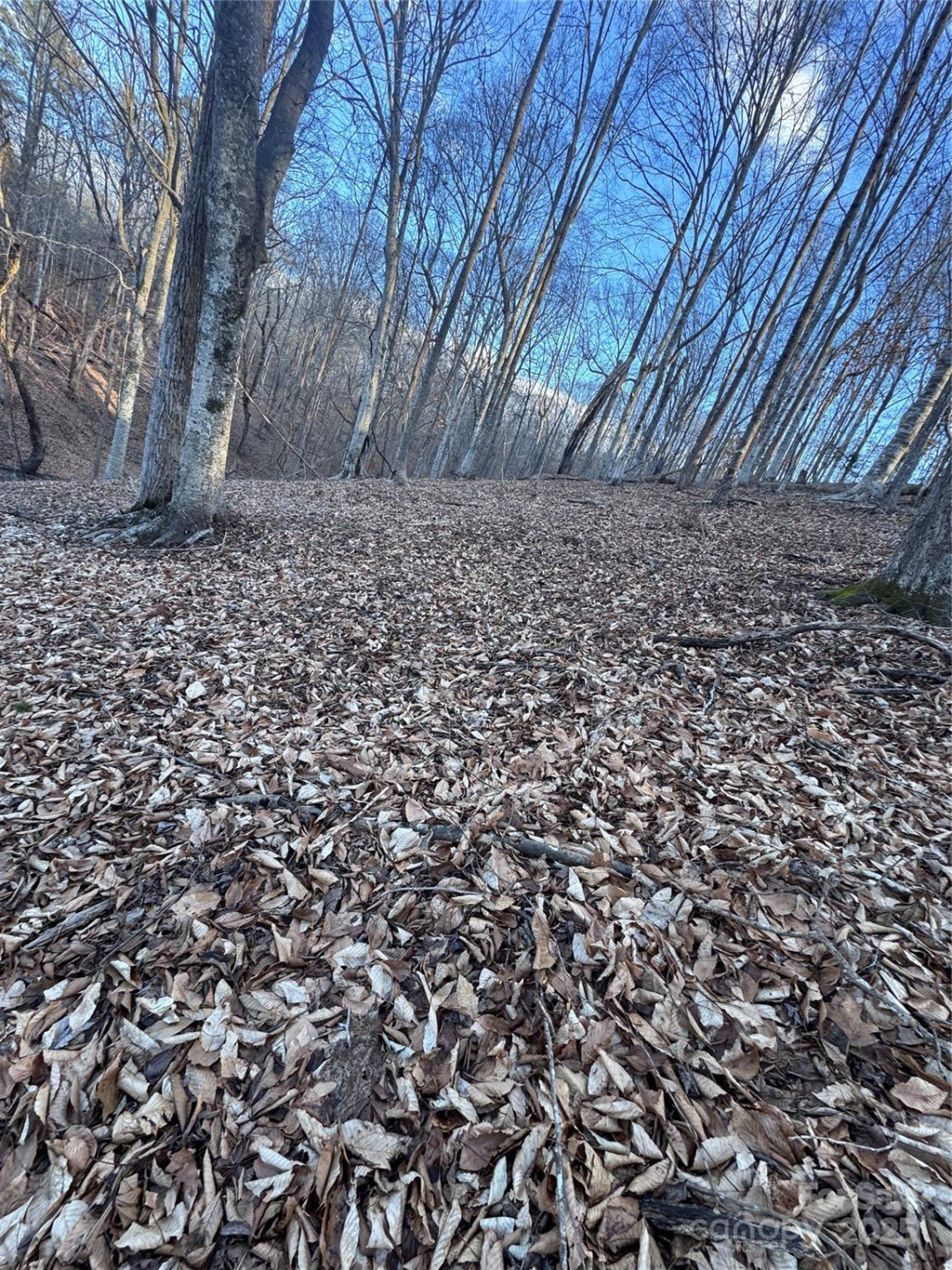 0 Creekside Circle #126 - Photo 8