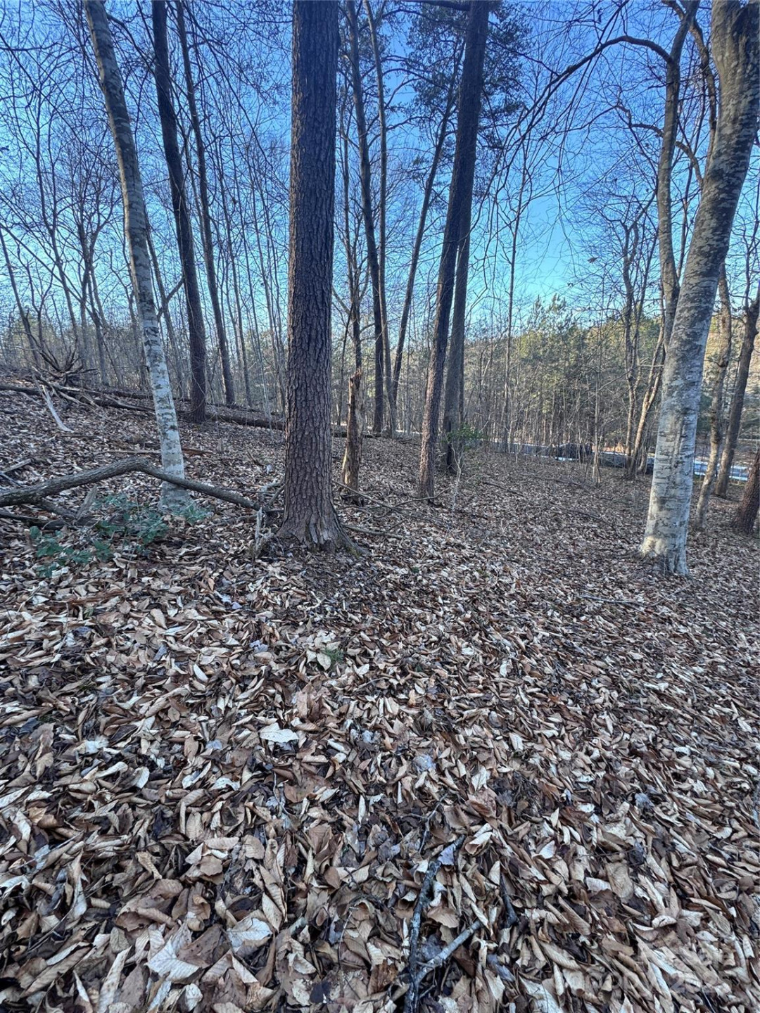 0 Creekside Circle #126 - Photo 9