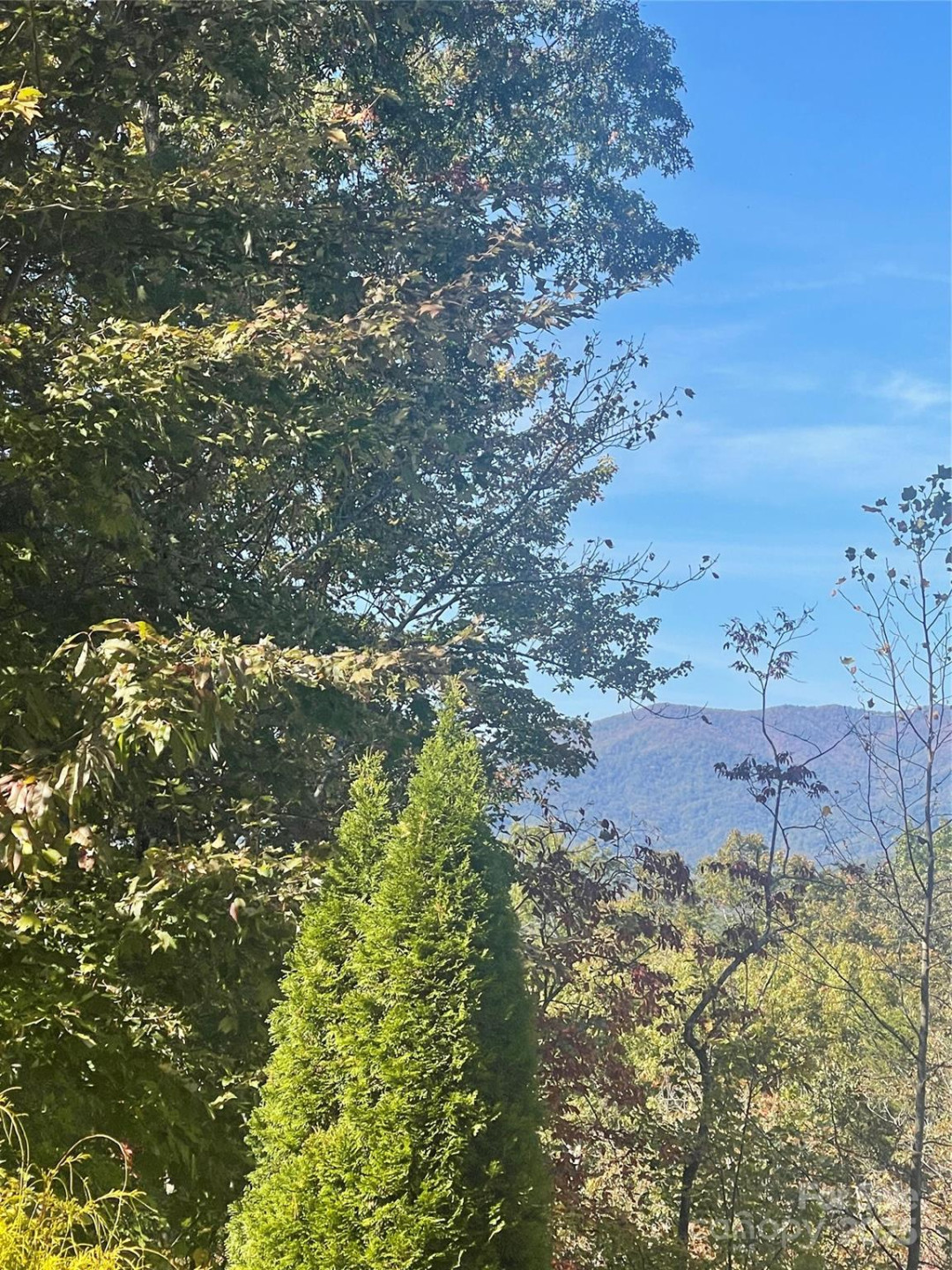 lot 46 Bald Eagle Lane #46 - Photo 2