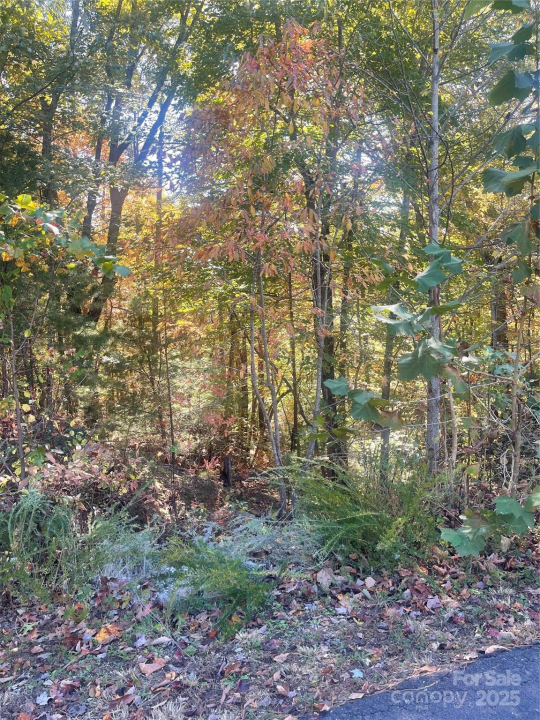 lot 46 Bald Eagle Lane #46 - Photo 11