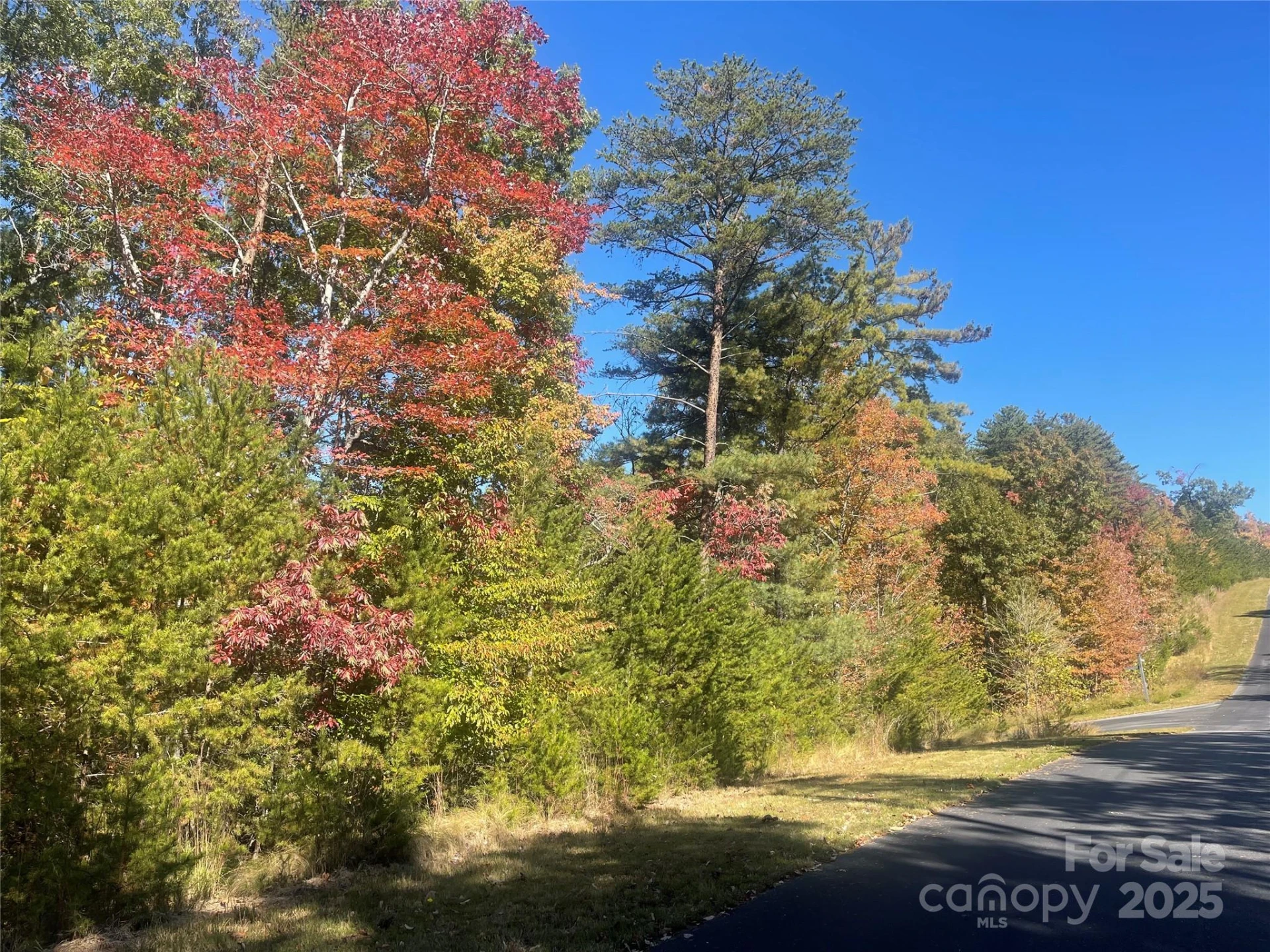 lot 46 Bald Eagle Lane #46 - Photo 3