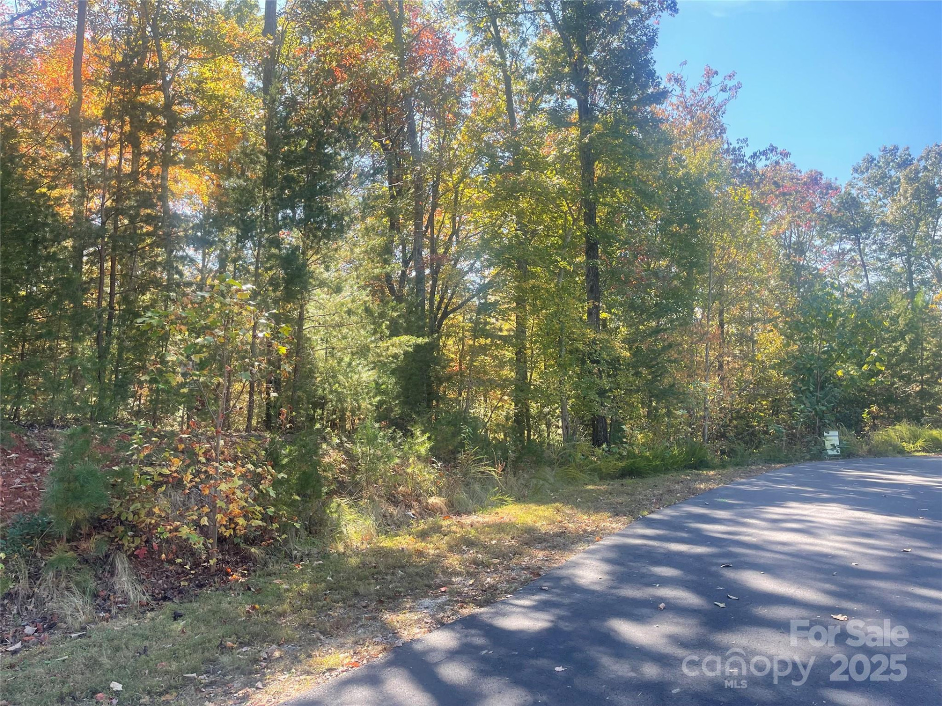 lot 46 Bald Eagle Lane #46 - Photo 4