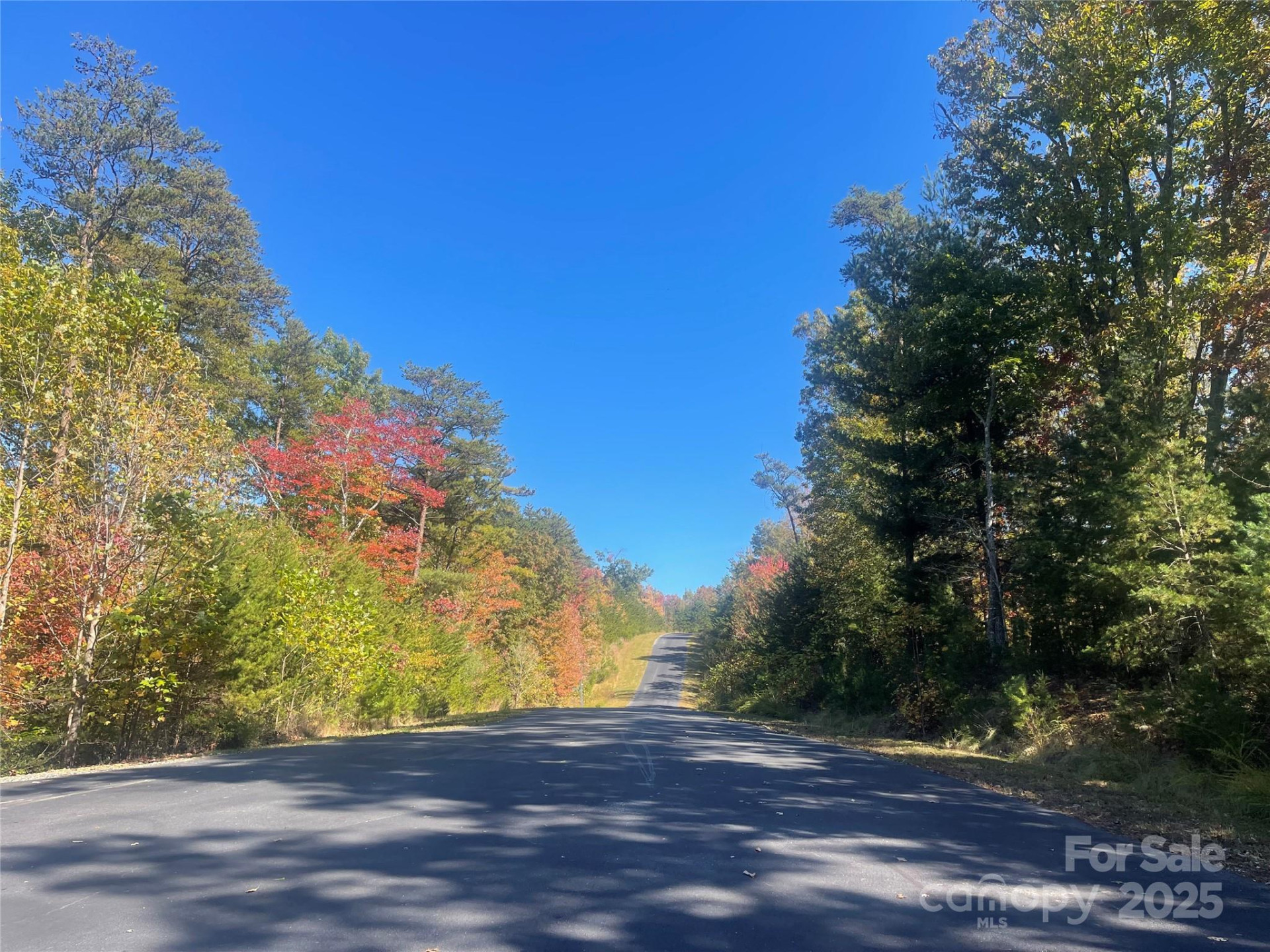 lot 46 Bald Eagle Lane #46 - Photo 6