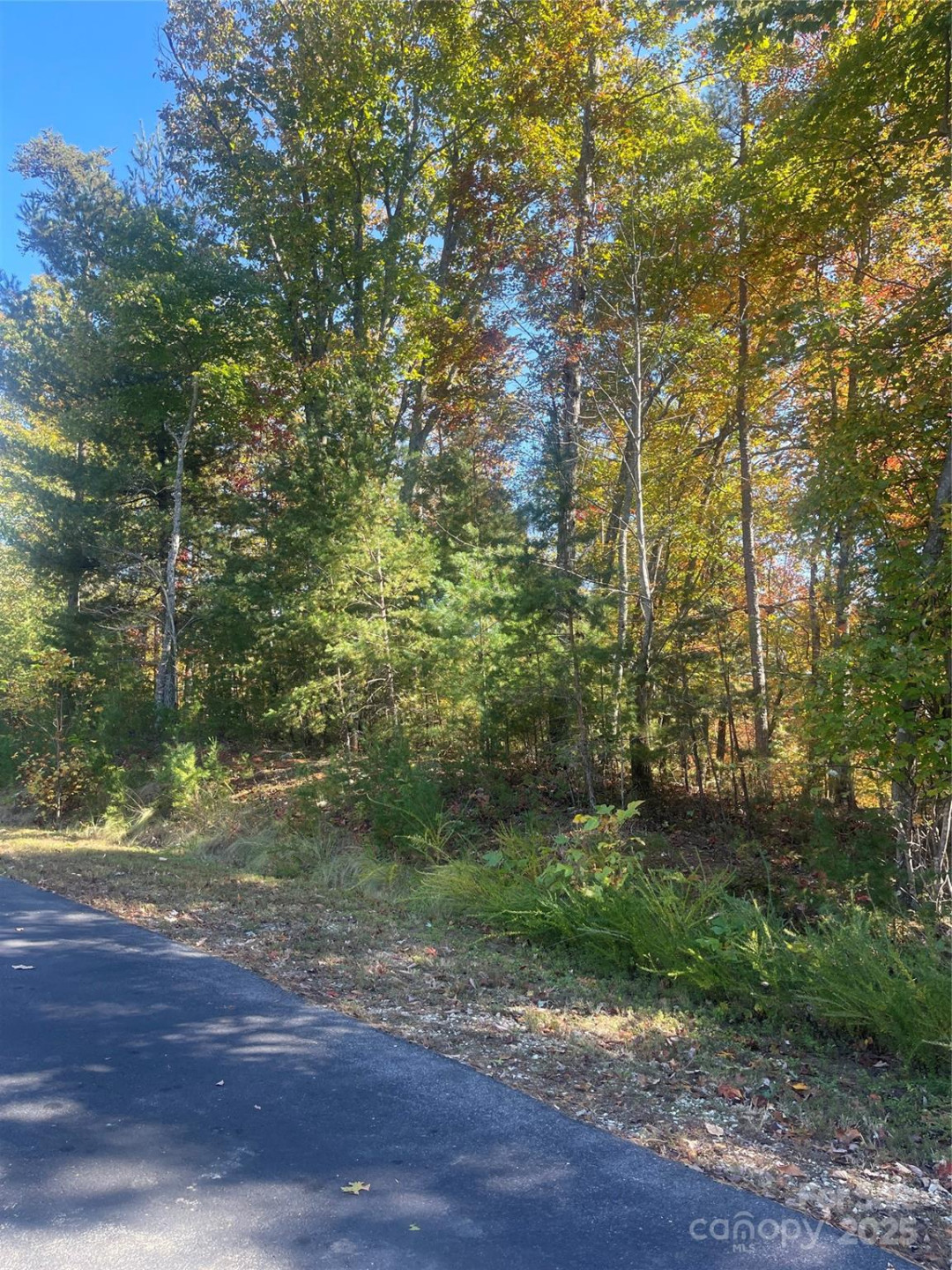 lot 46 Bald Eagle Lane #46 - Photo 7