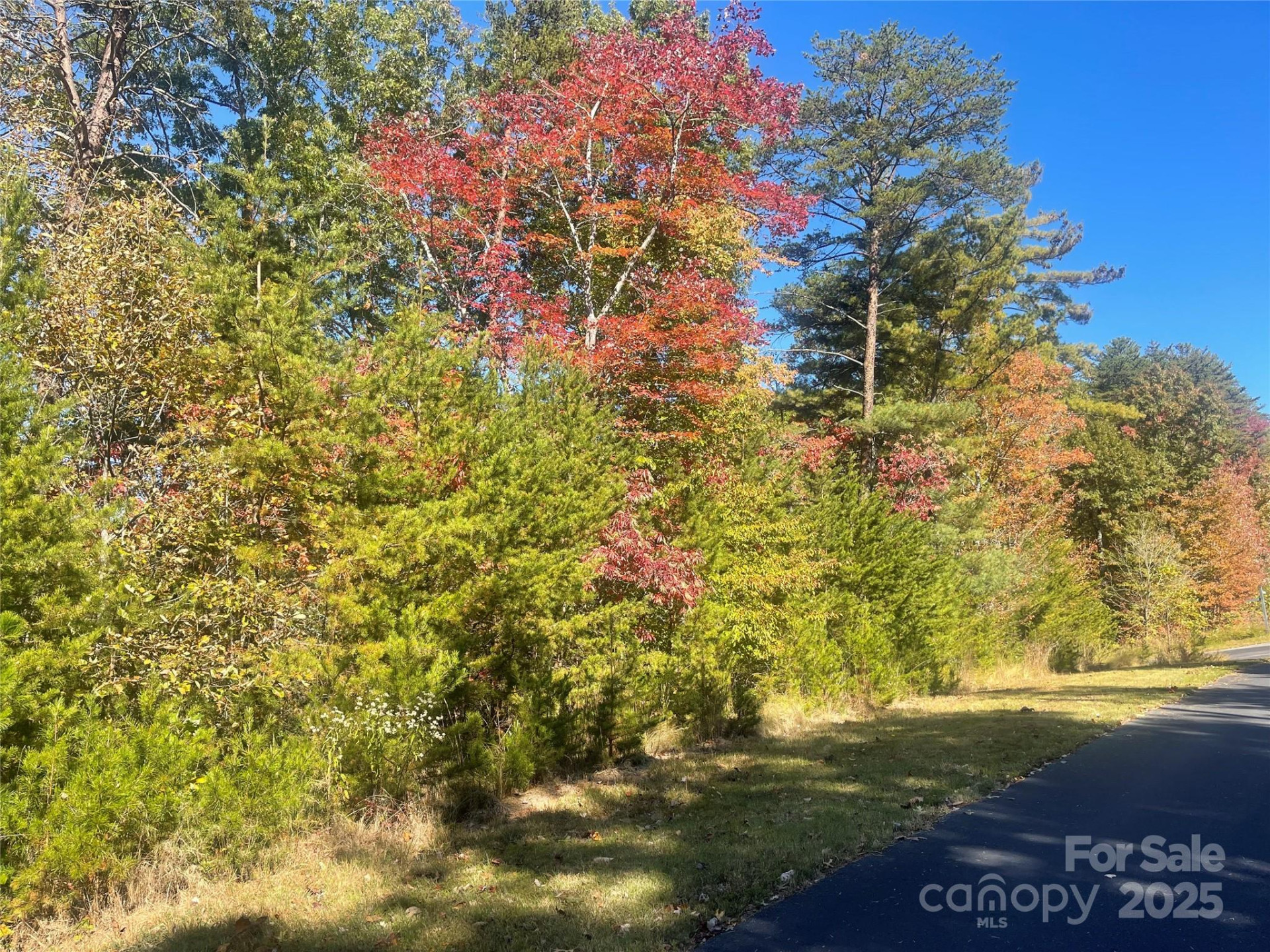 lot 46 Bald Eagle Lane #46 - Photo 8