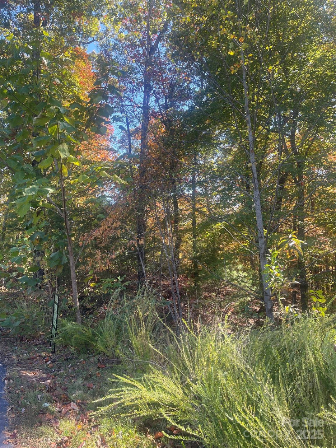 lot 46 Bald Eagle Lane #46 - Photo 9