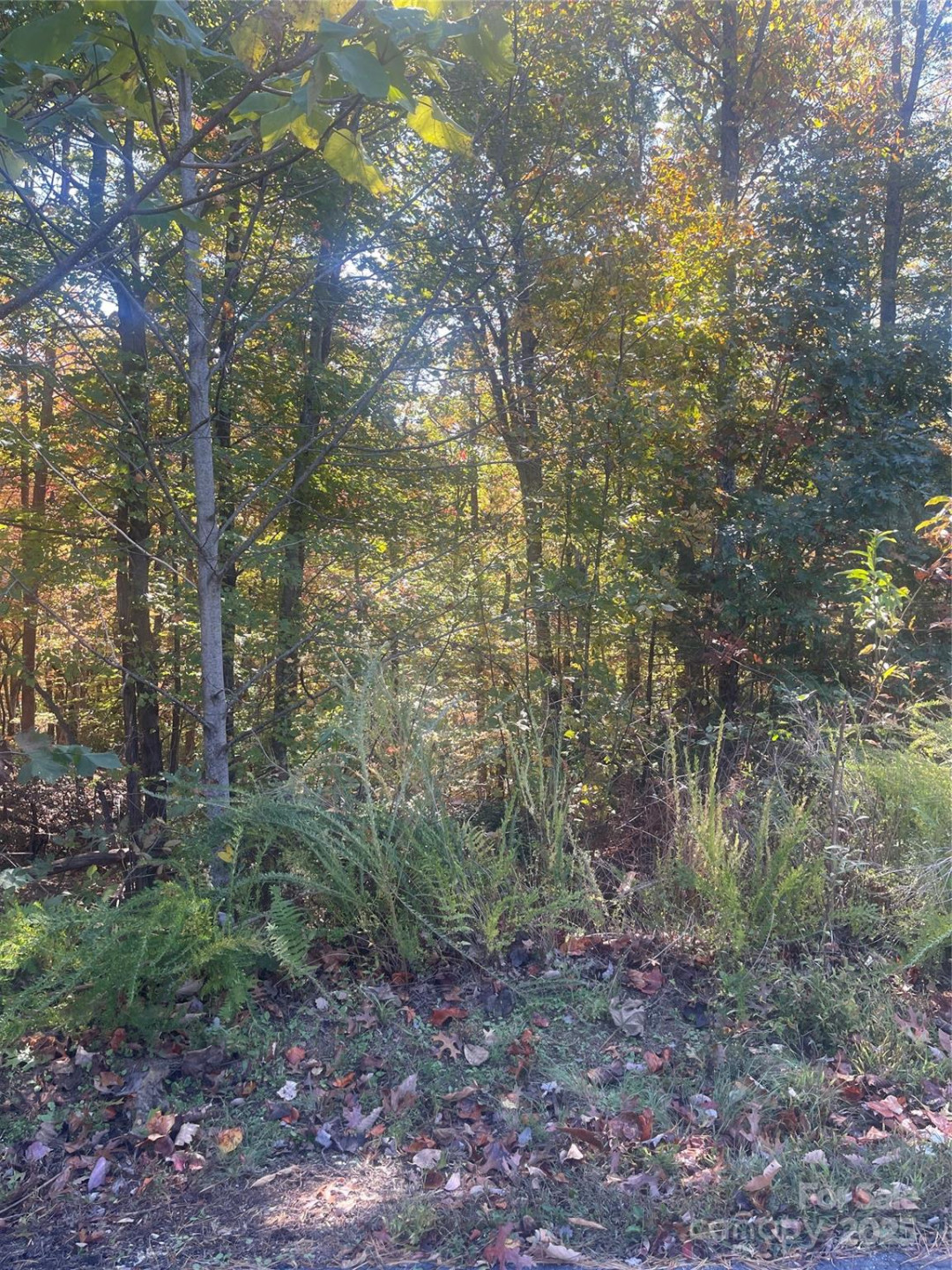 lot 46 Bald Eagle Lane #46 - Photo 10