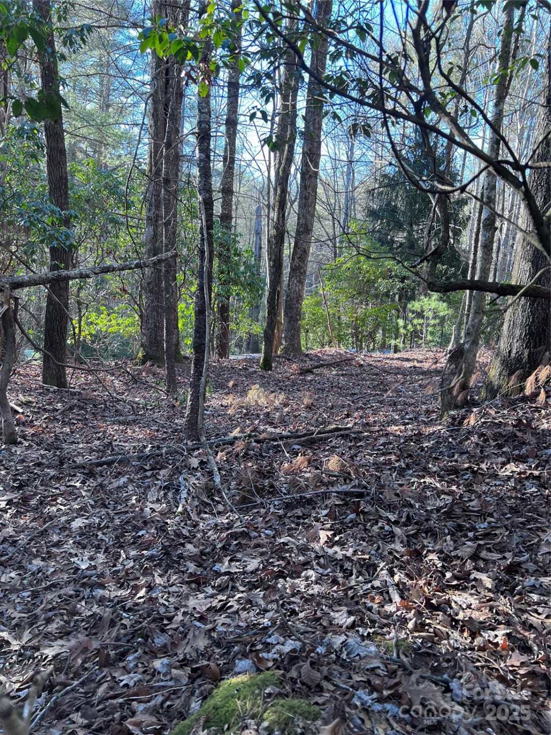 L26 Konnaneeta Trail #U03 L026 - Photo 11