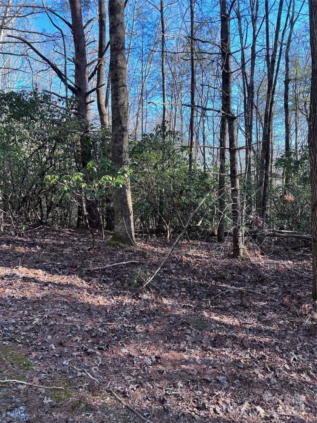 L26 Konnaneeta Trail #U03 L026 - Photo 12