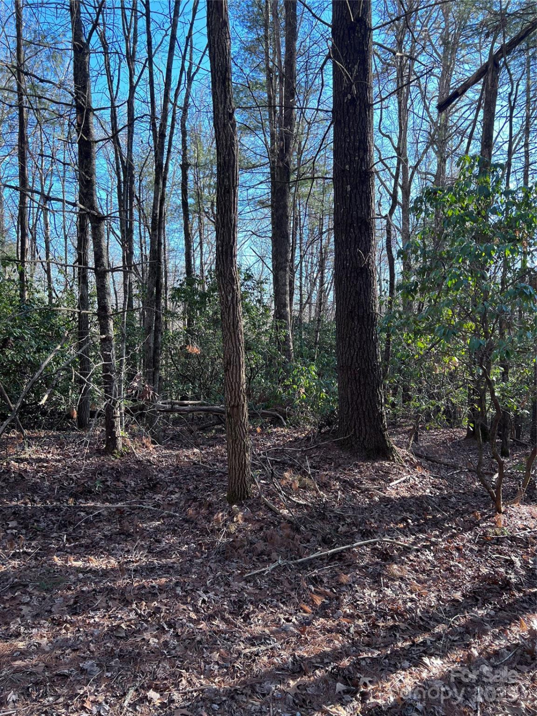 L26 Konnaneeta Trail #U03 L026 - Photo 13