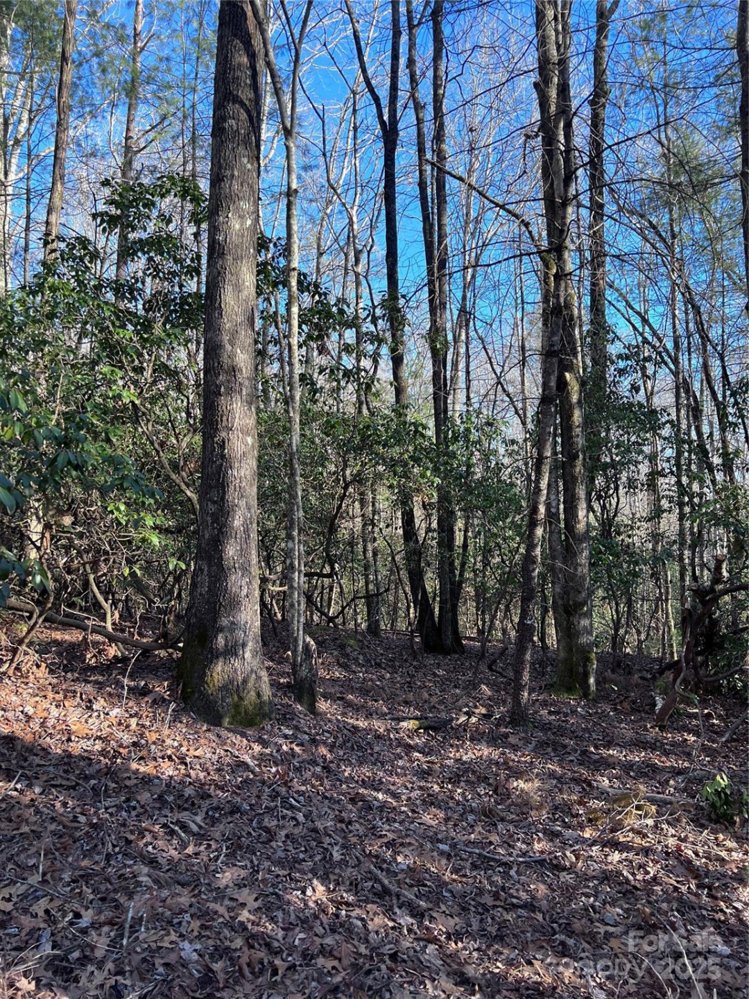 L26 Konnaneeta Trail #U03 L026 - Photo 5