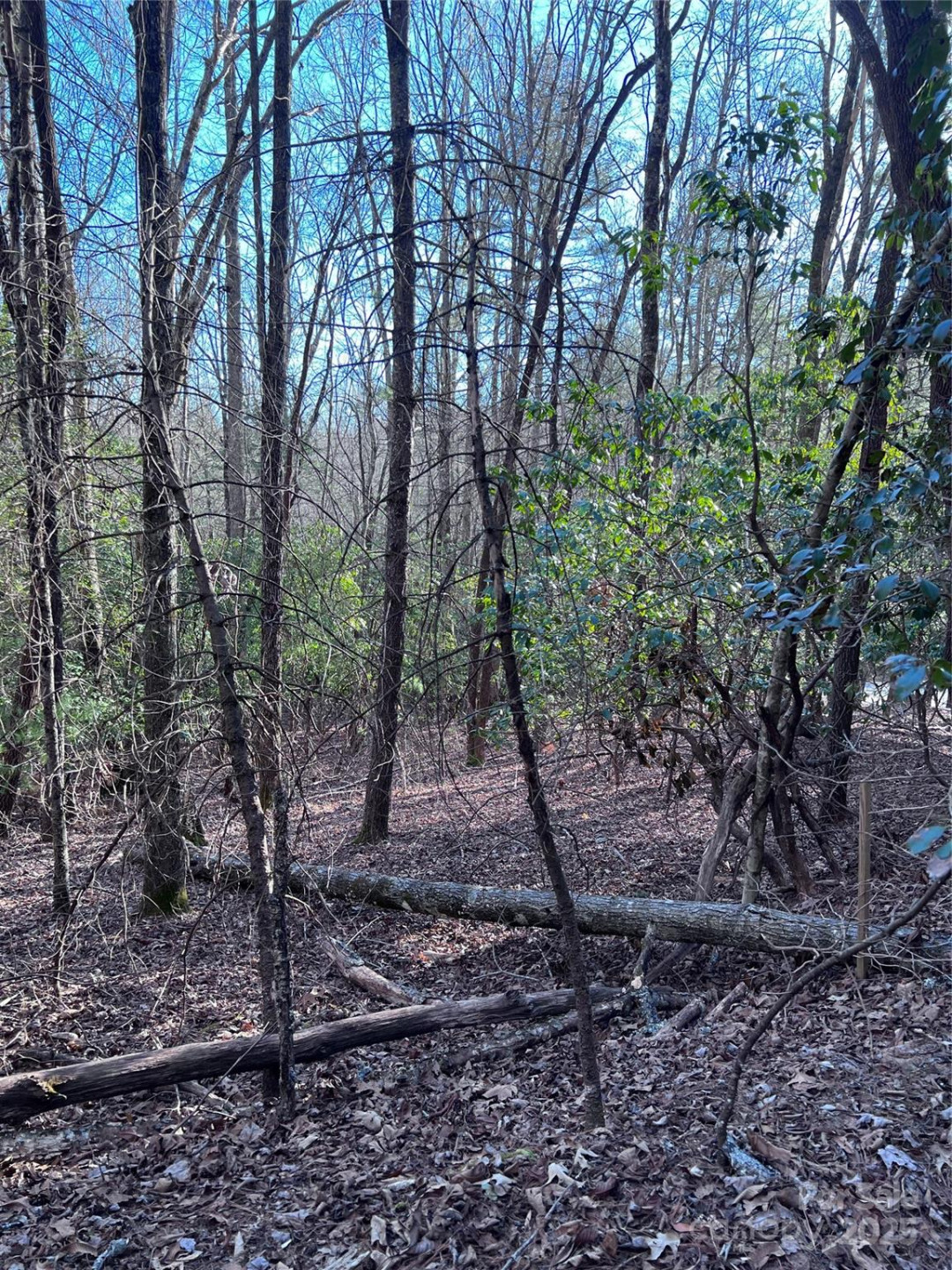 L26 Konnaneeta Trail #U03 L026 - Photo 6