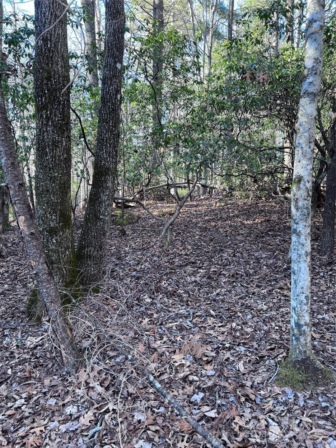 L26 Konnaneeta Trail #U03 L026 - Photo 7