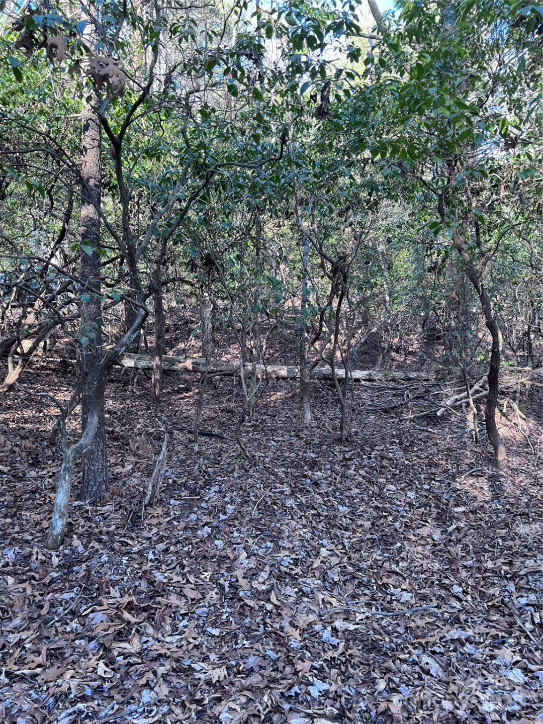 L26 Konnaneeta Trail #U03 L026 - Photo 8