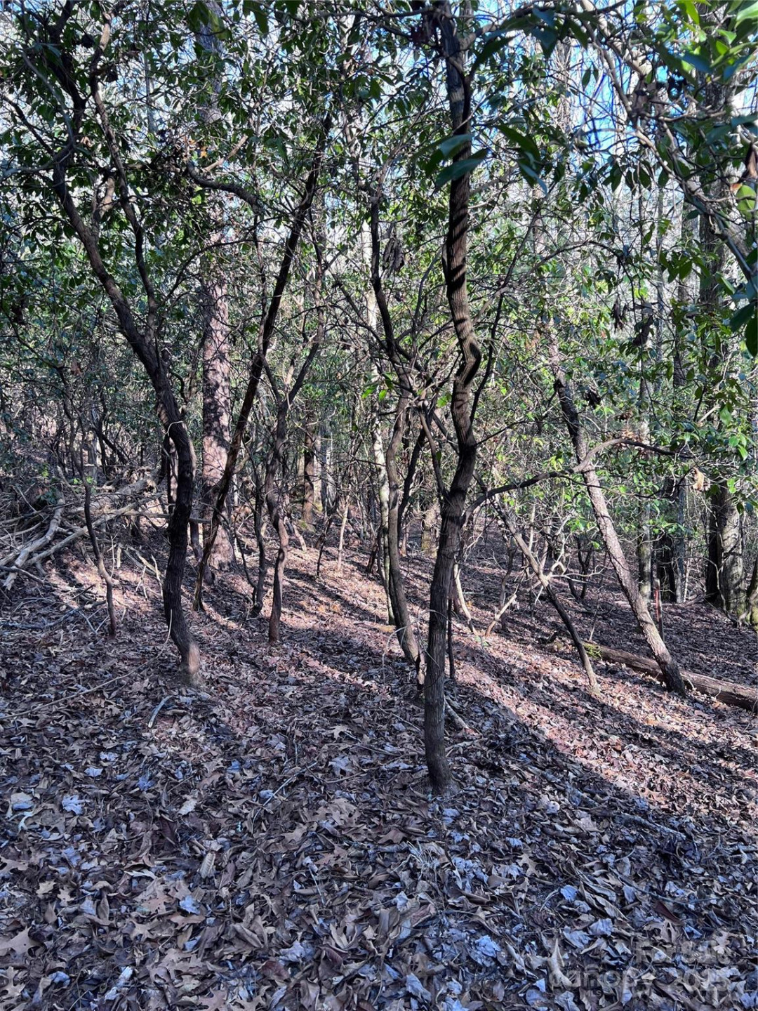 L26 Konnaneeta Trail #U03 L026 - Photo 9