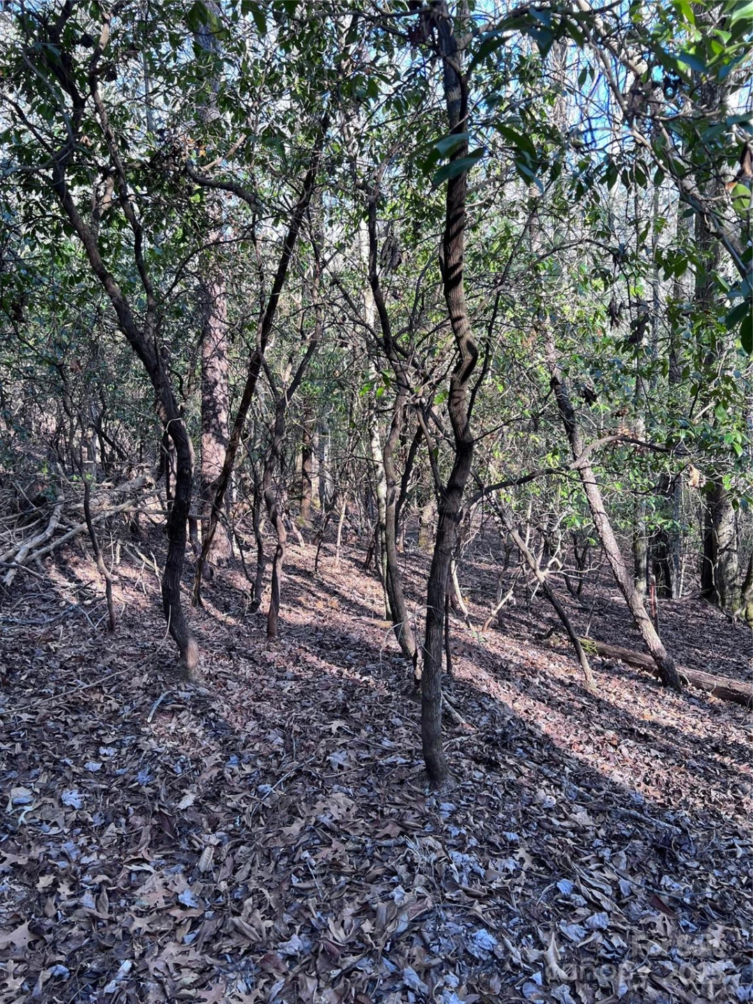 L26 Konnaneeta Trail #U03 L026 - Photo 9