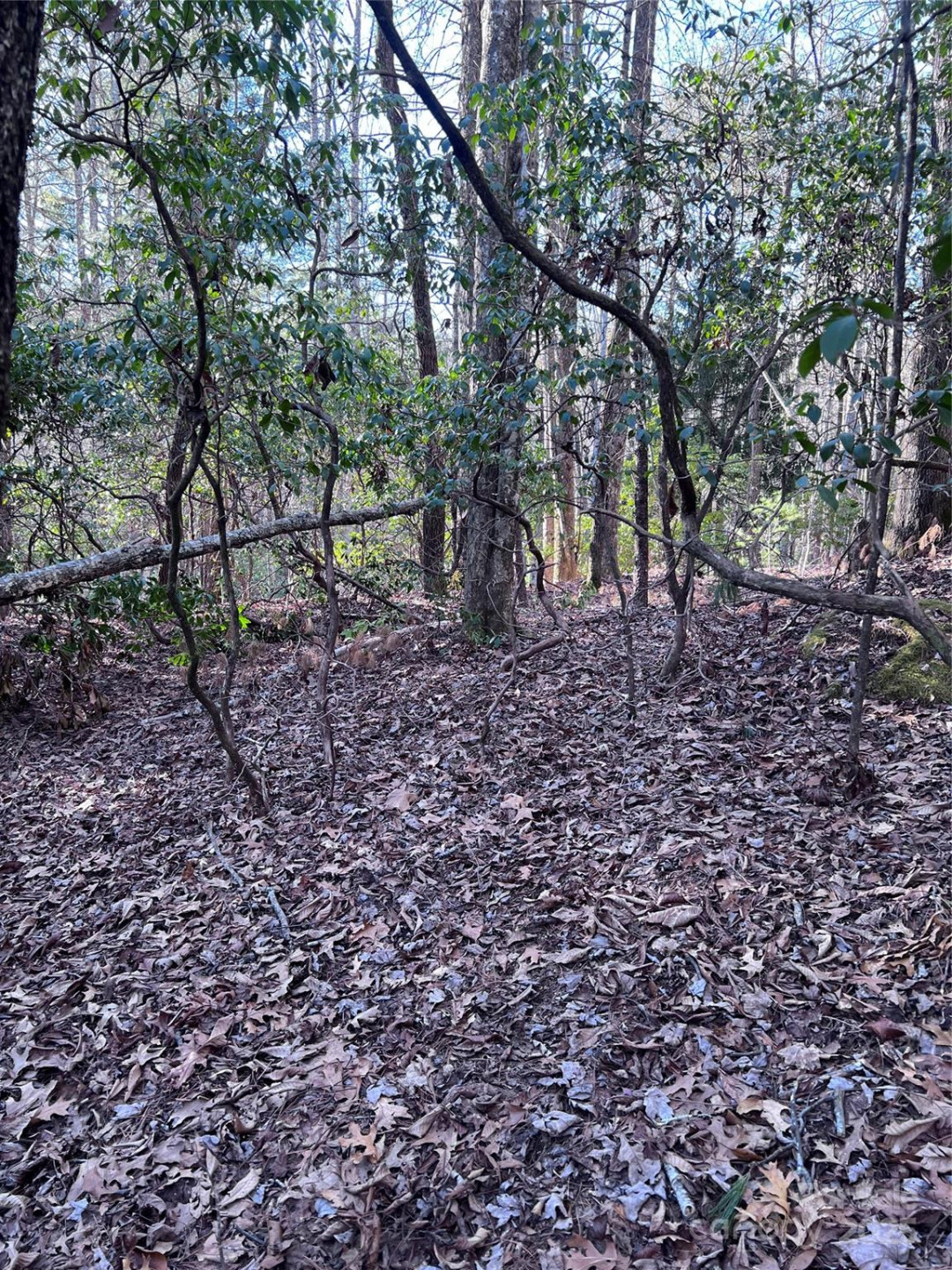 L26 Konnaneeta Trail #U03 L026 - Photo 10