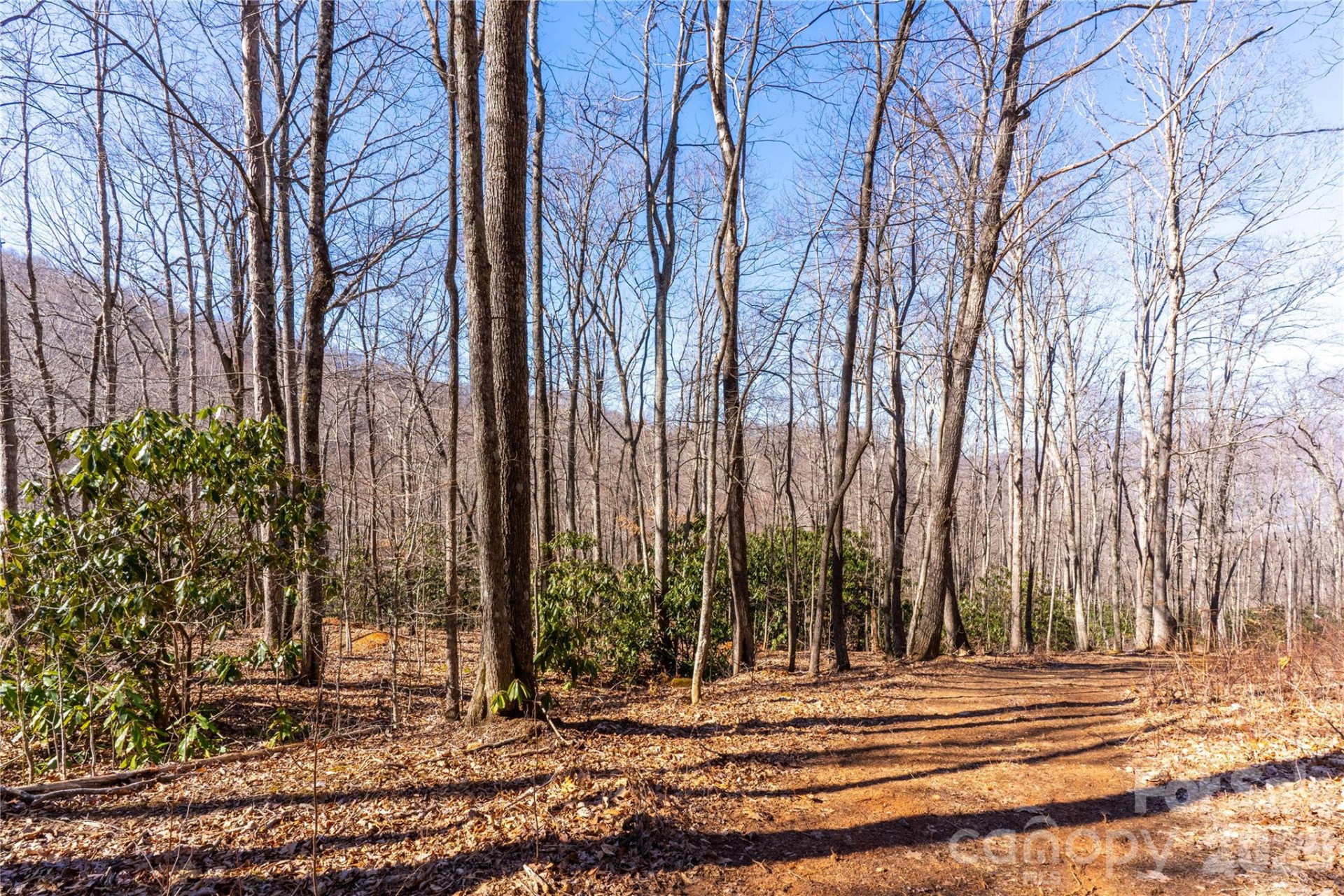 1248 Arborcrest Way #46