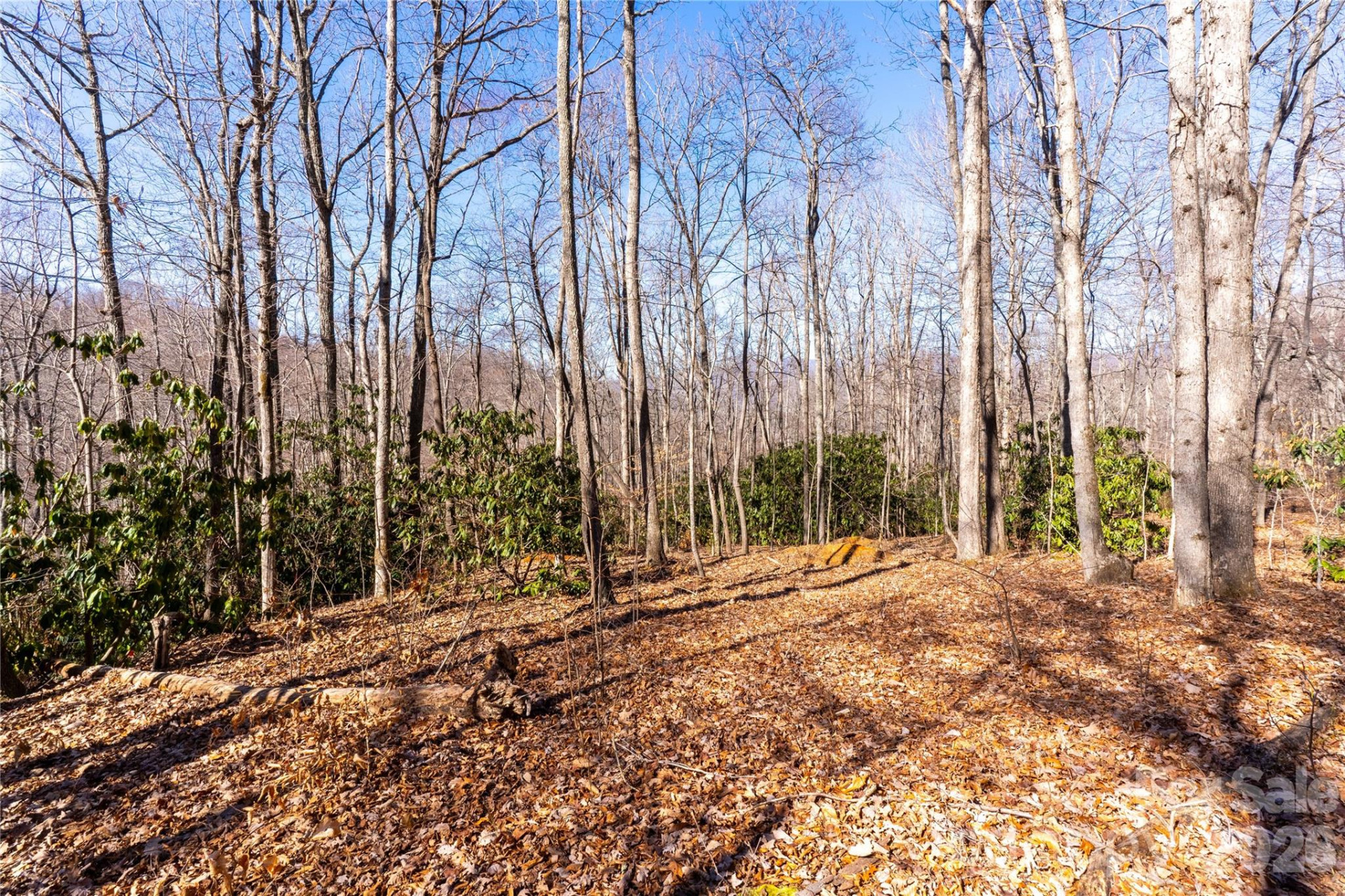 1248 Arborcrest Way #46 - Photo 2