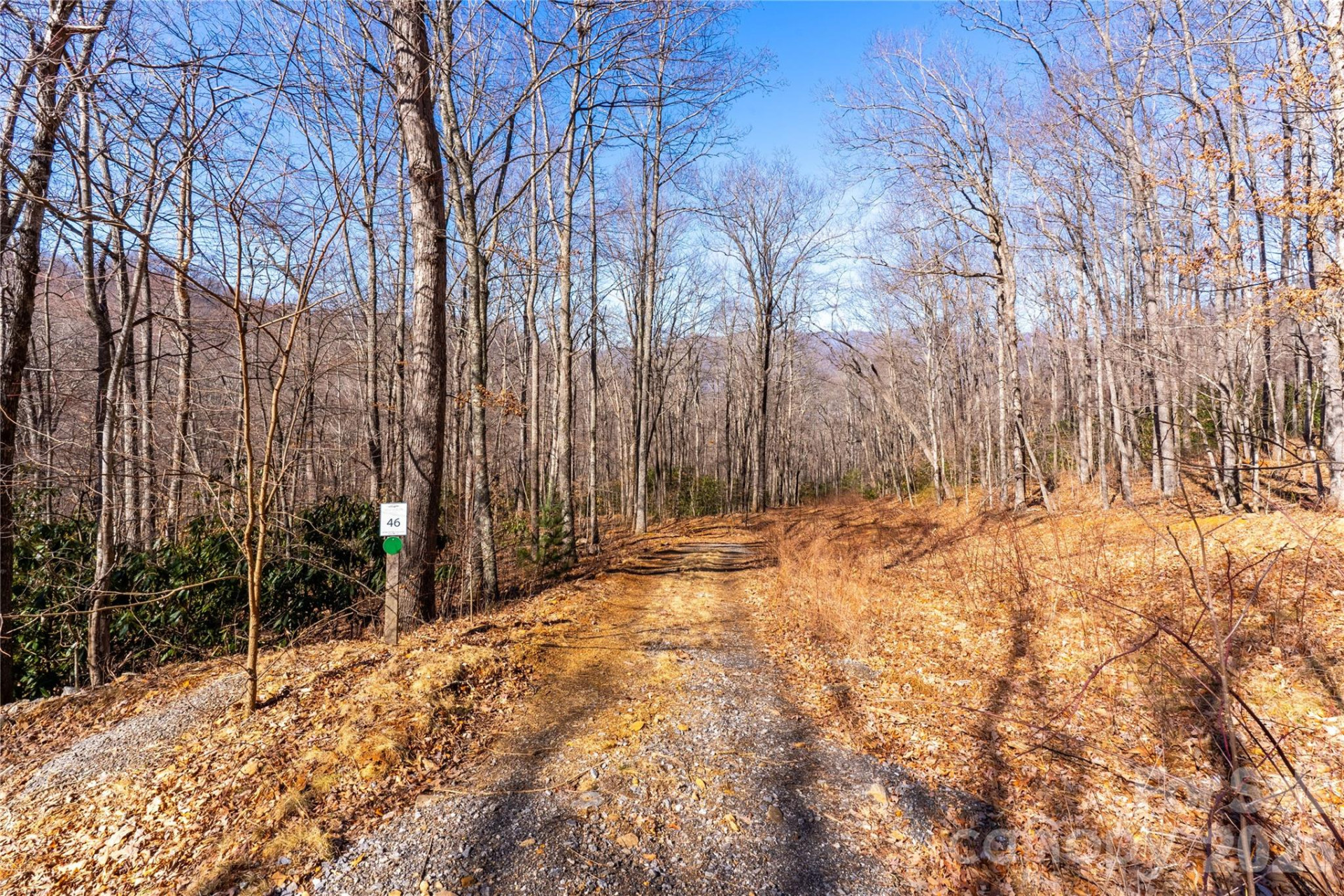 1248 Arborcrest Way #46 - Photo 11