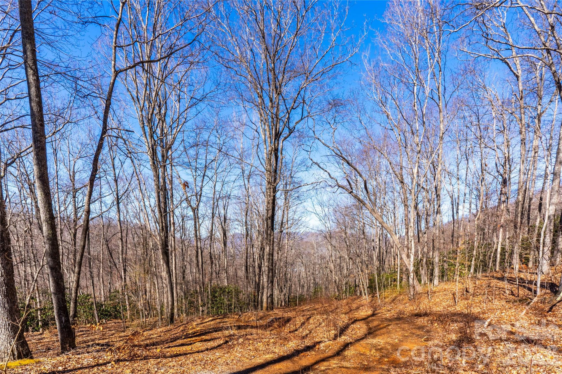 1248 Arborcrest Way #46 - Photo 3