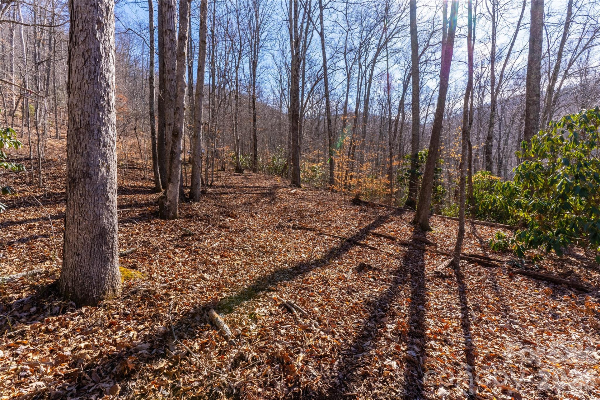 1248 Arborcrest Way #46 - Photo 4