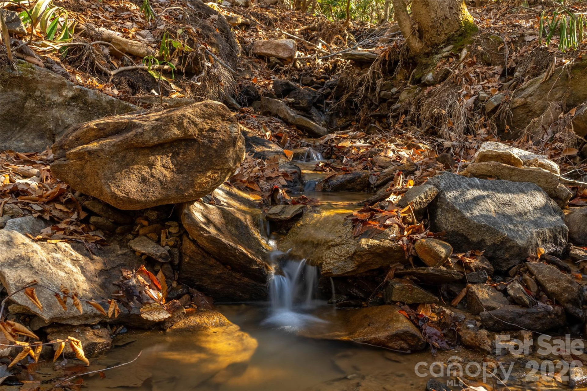 1248 Arborcrest Way #46 - Photo 5