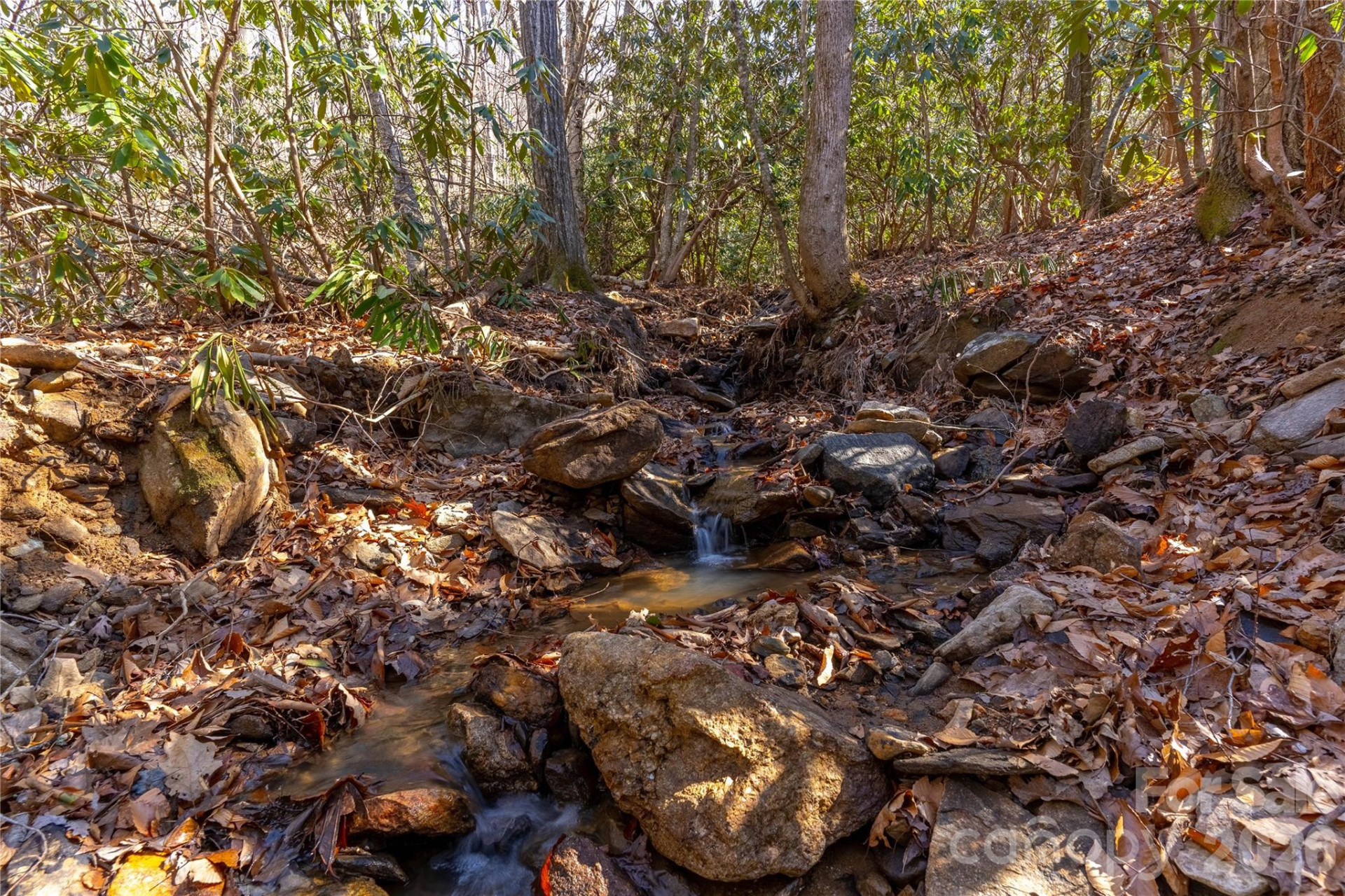 1248 Arborcrest Way #46 - Photo 6