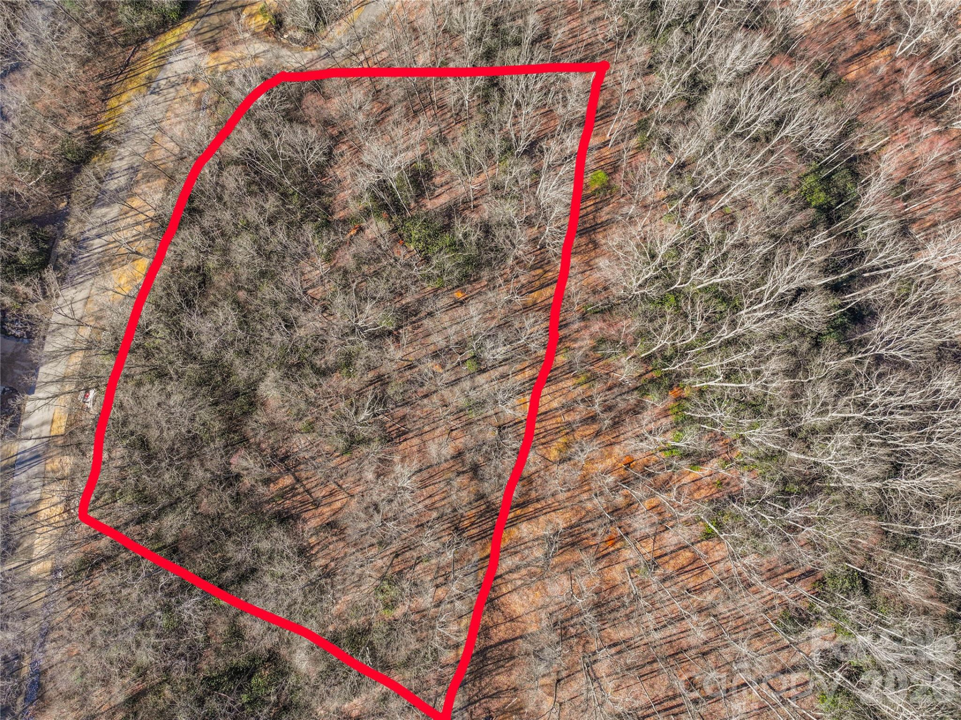 1248 Arborcrest Way #46 - Photo 7