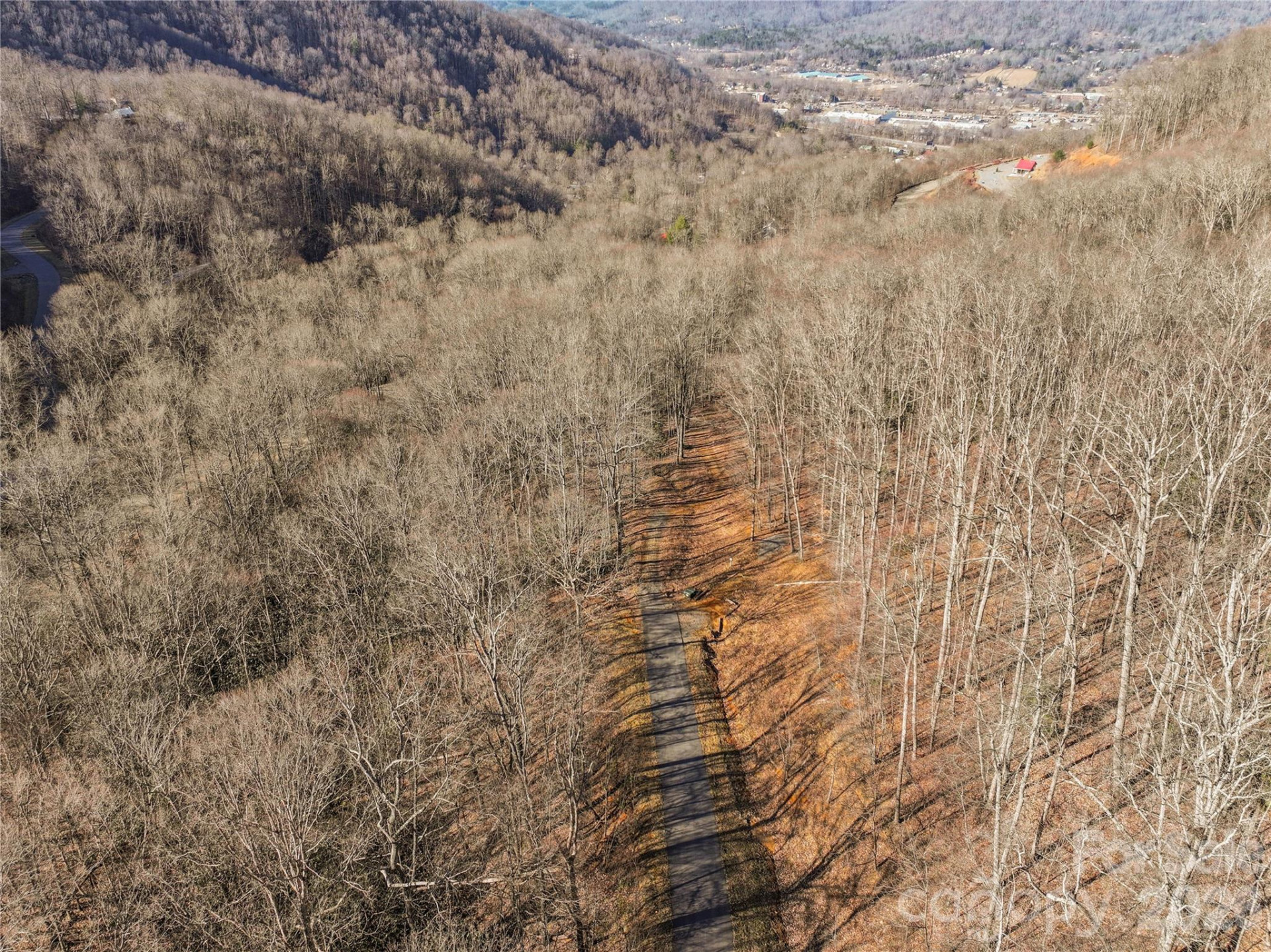 1248 Arborcrest Way #46 - Photo 9