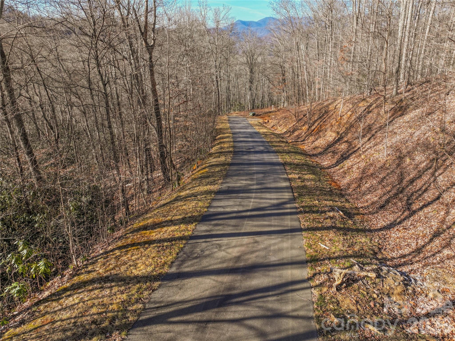 1248 Arborcrest Way #46 - Photo 10