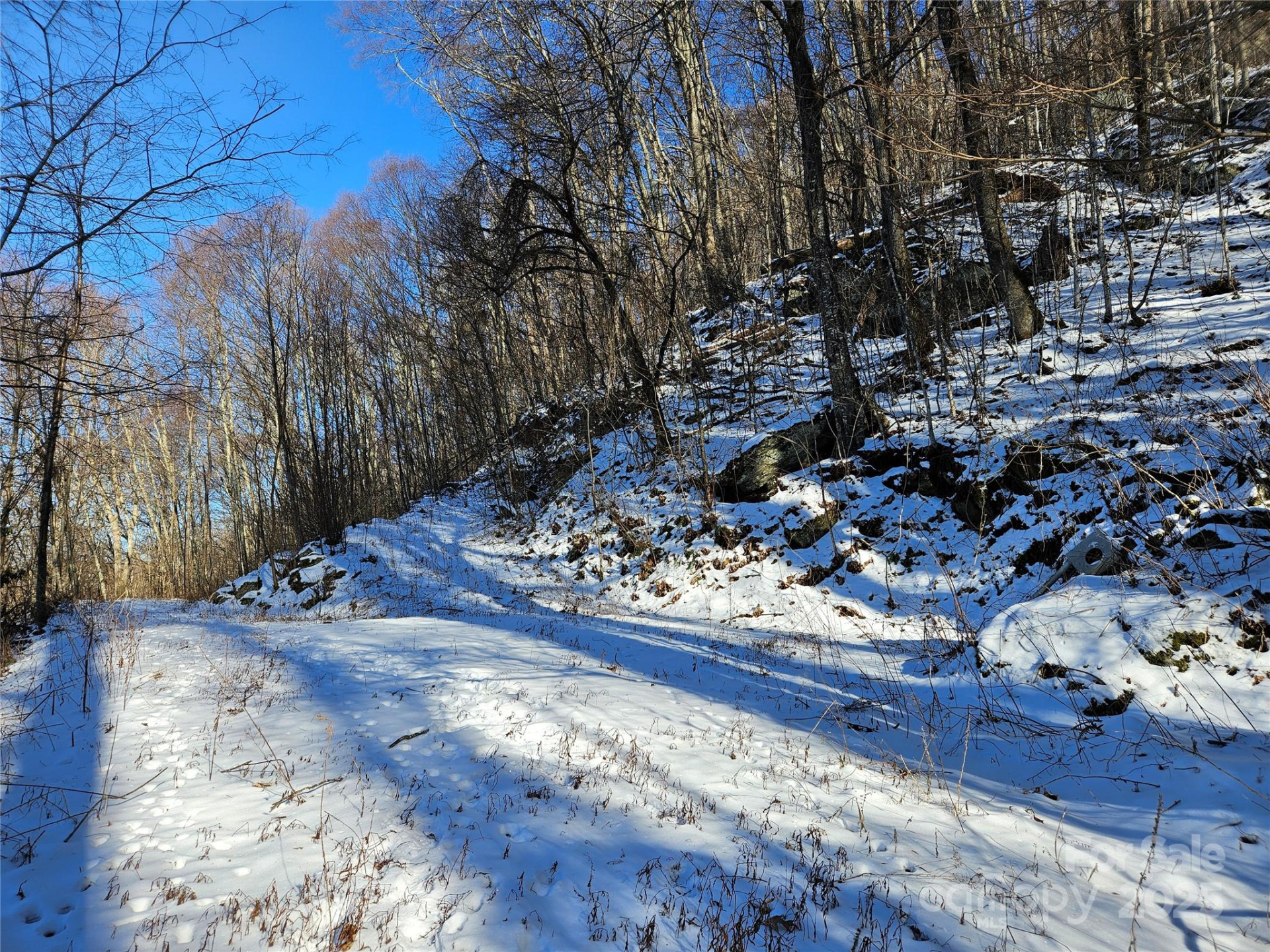 00 Marney's Vista Road - Photo 3