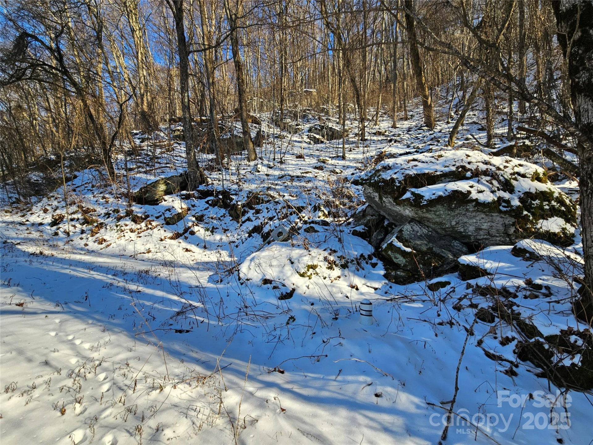 00 Marney's Vista Road - Photo 4