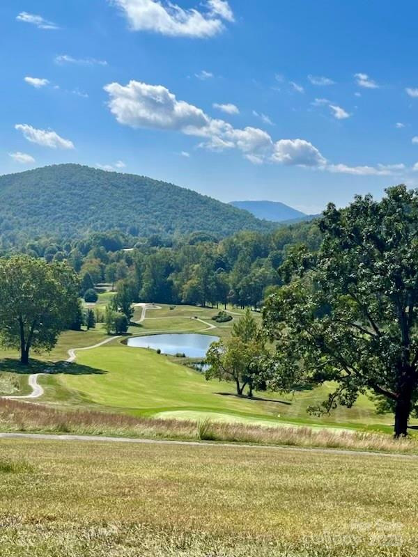 TBD Hickory Vista Lane #101, 102, 103, 106, 107 - Photo 11