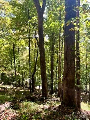 TBD Hickory Vista Lane #101, 102, 103, 106, 107 - Photo 4