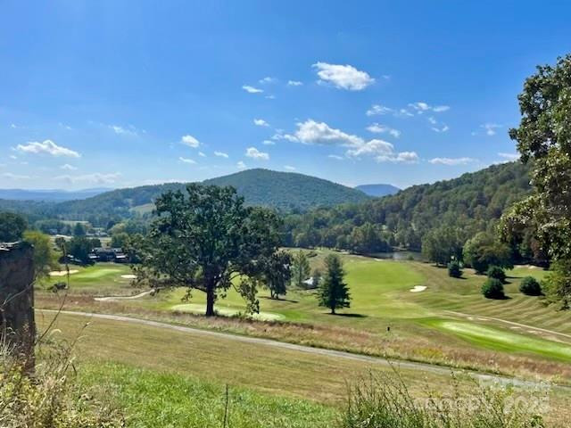 TBD Hickory Vista Lane #101, 102, 103, 106, 107 - Photo 10