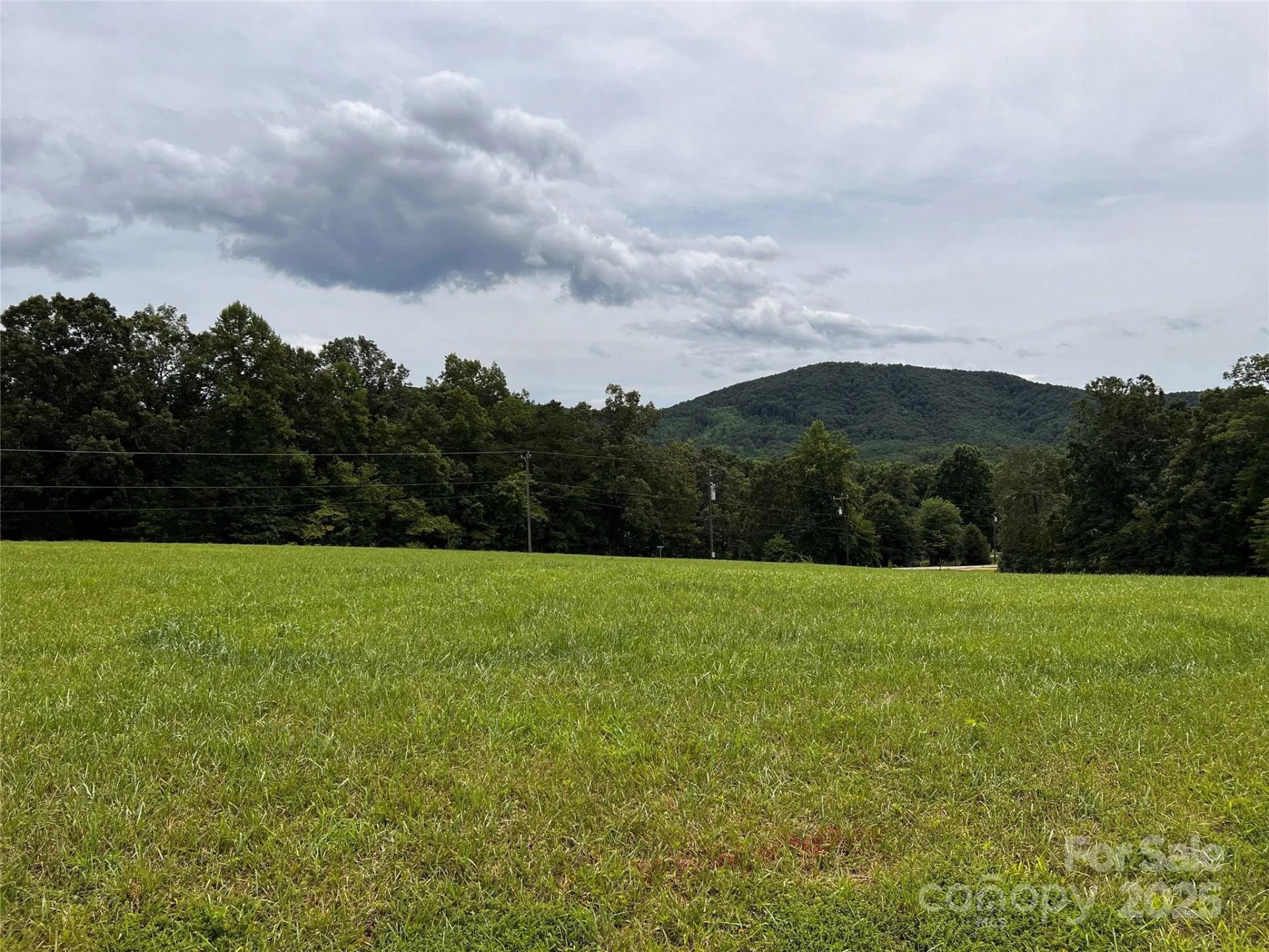 81 Grace Estates Drive - Photo 11
