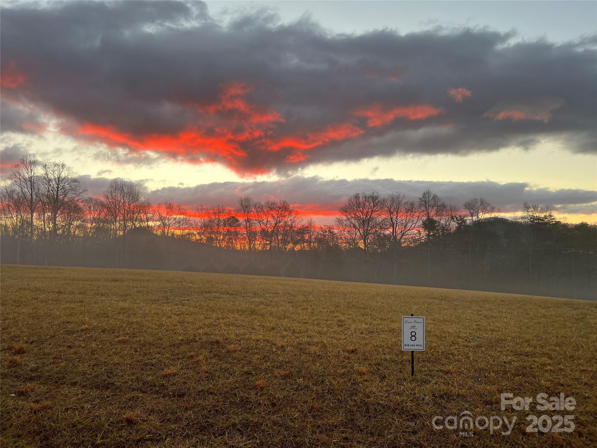 81 Grace Estates Drive - Photo 6