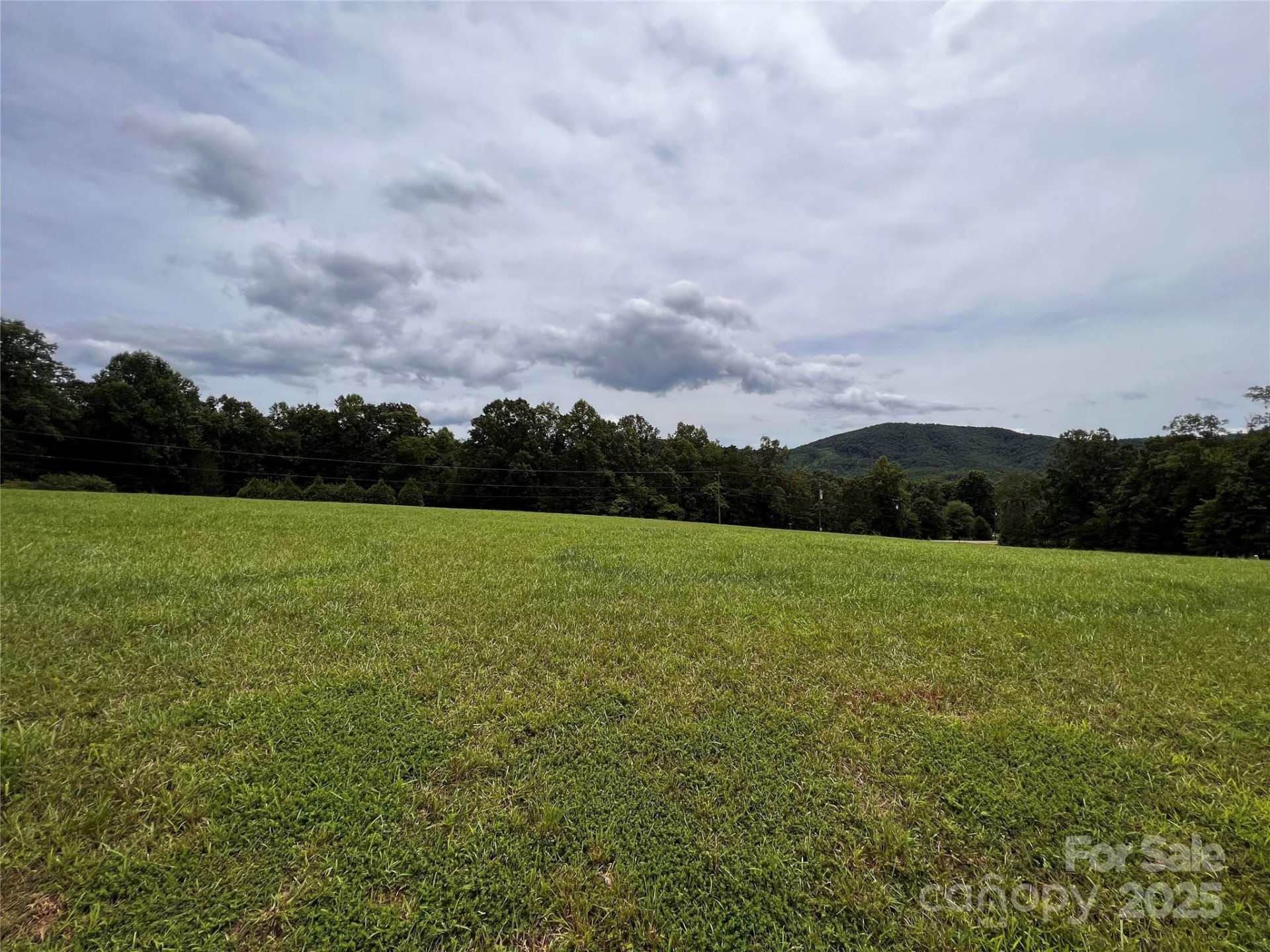 81 Grace Estates Drive - Photo 10