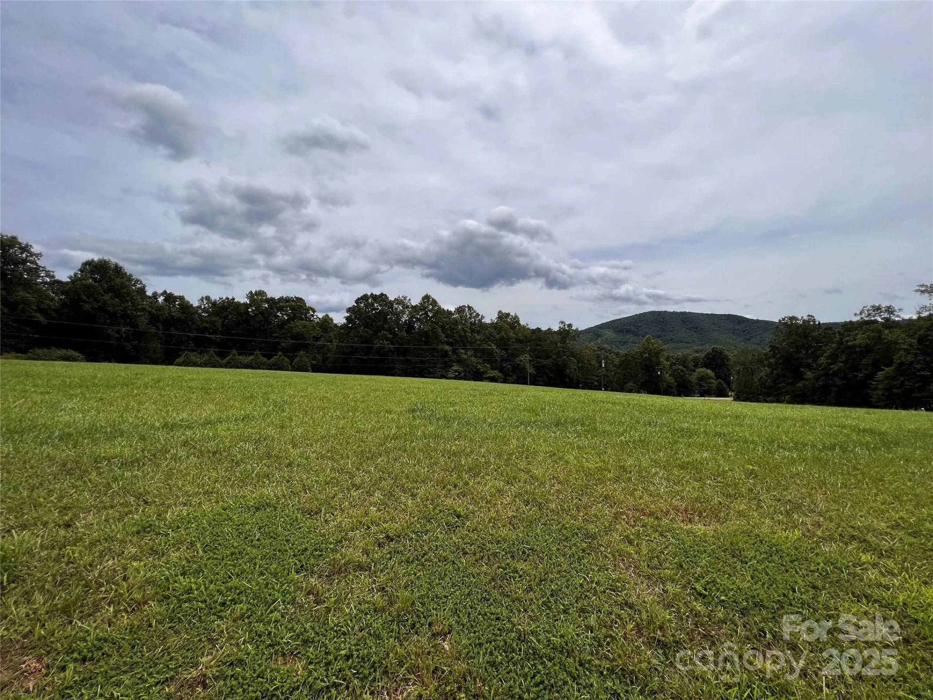 81 Grace Estates Drive - Photo 10