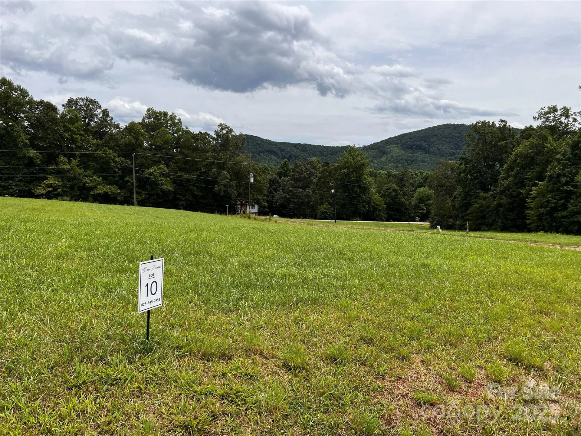 125 Grace Estates Drive - Photo 10