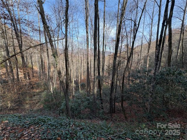 TR 6 Little Bit Trail, Whittier, NC, 28789