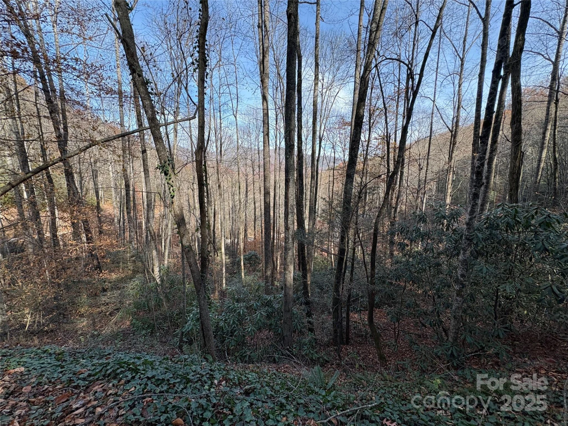 TR 6 Little Bit Trail